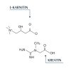 EUCERIN DERMOCAPILLAIRE hajhullás elleni sampon 250 ml